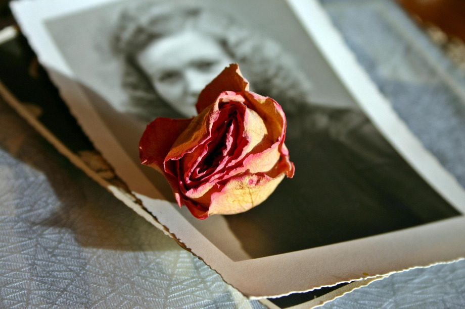 photo prints mockup